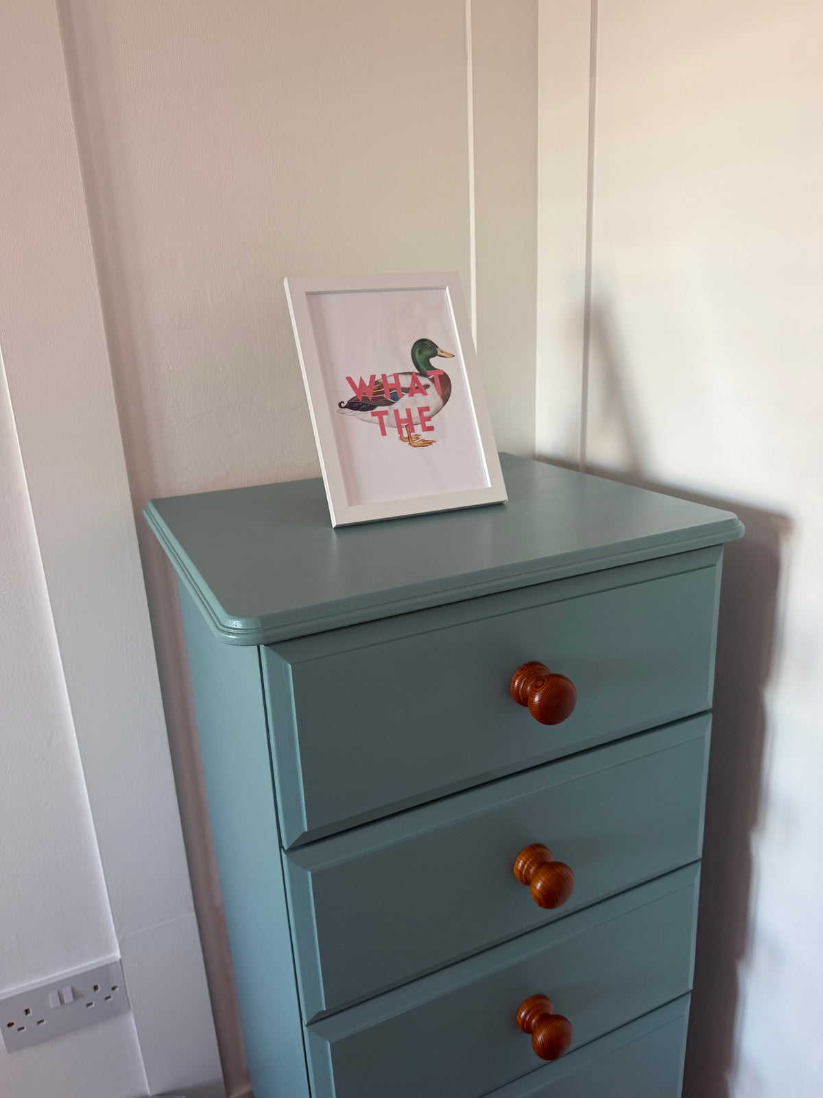 A5 “What the Duck” Print with Frame